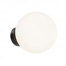 MOD321WL-01B1