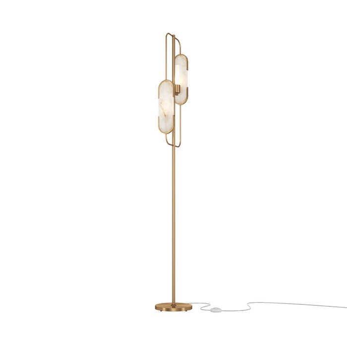 MOD099FL-02G