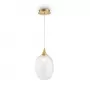 MOD016PL-01BS