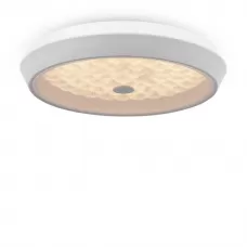 FR10012CL-L24W