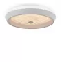 FR10012CL-L24W