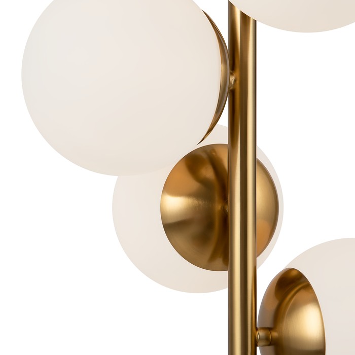 FR5199PL-05BS1
