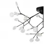 FR5049CL-36B