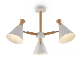 FR5169PL-03W
