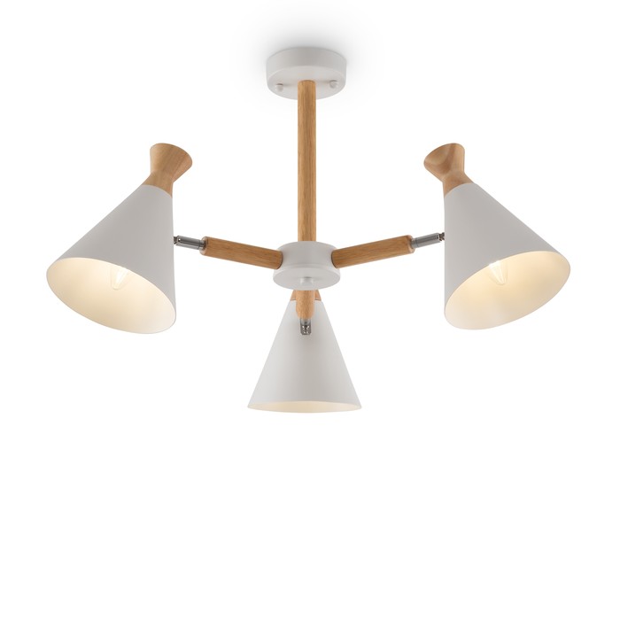 FR5169PL-03W
