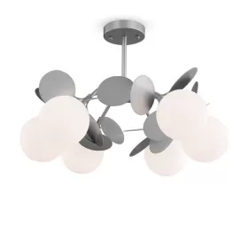 FR5165PL-06S