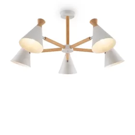 FR5169PL-05W