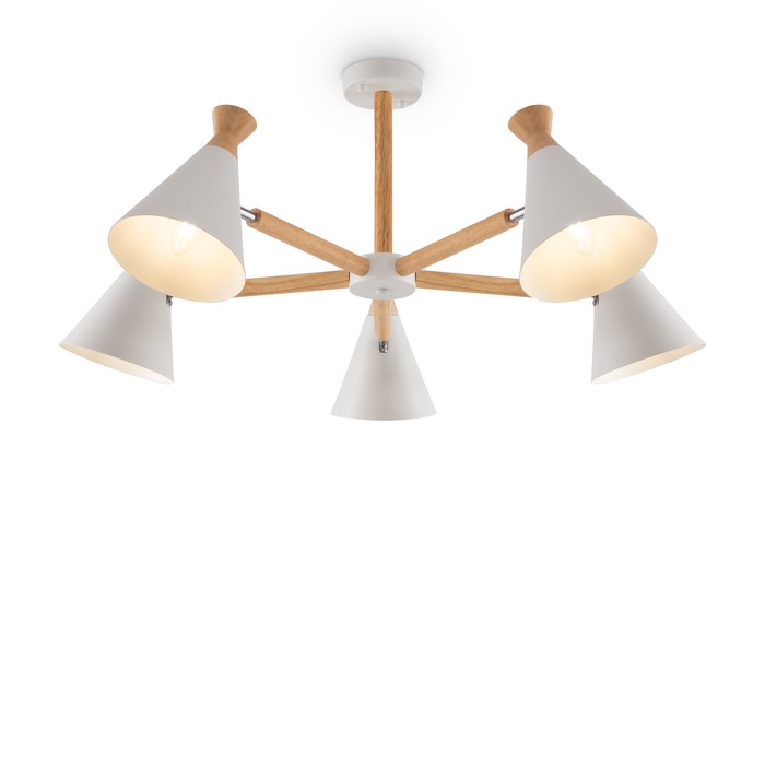 FR5169PL-05W