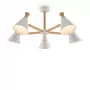 FR5169PL-05W