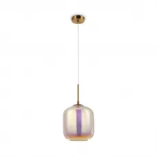 MOD001PL-01CFL