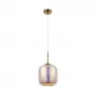 MOD001PL-01CFL