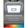 CL703AK81G
