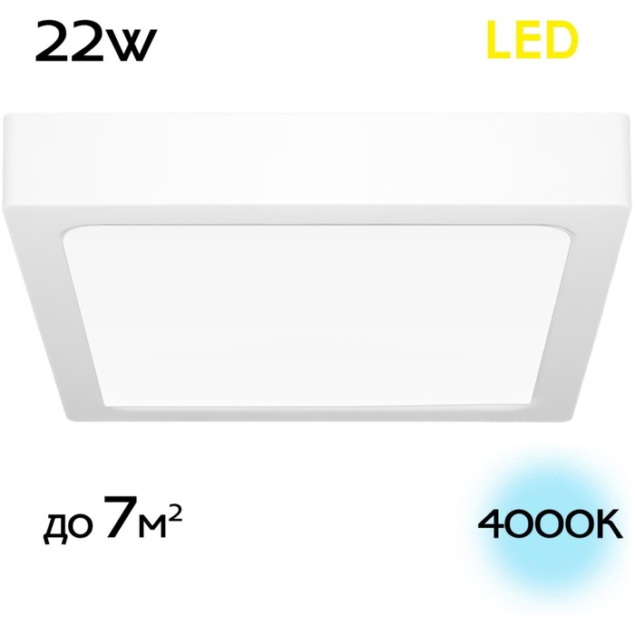 CL55K22N