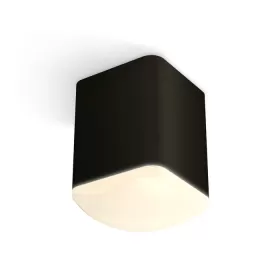 XS7813022