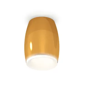 XS1125020