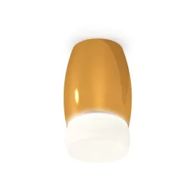XS1125023