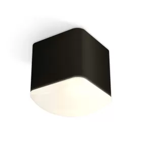 XS7806041