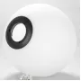 LSP-0613