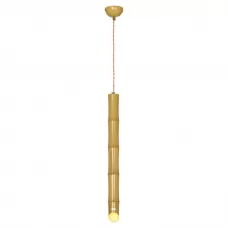 LSP-8563-4