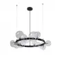 AGATA SP15 V2 BLACK/TRANSPARENTE
