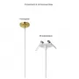 VERANO SP1 GOLD