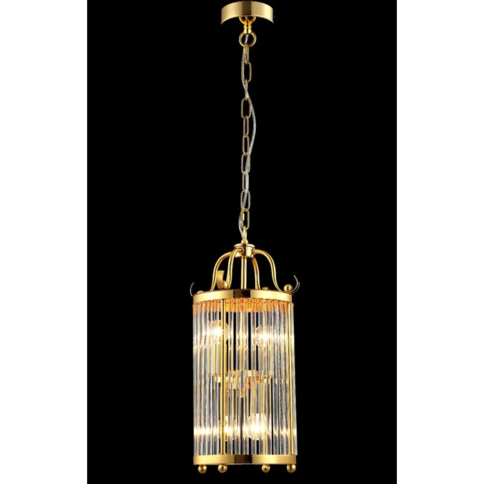 TADEO SP4 D200 GOLD/TRANSPARENTE