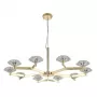 REBECA SP10 GOLD
