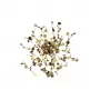 GARDEN AP-PL3 D400 GOLD