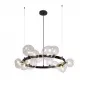 AGATA SP15 V2 BLACK/TRANSPARENTE