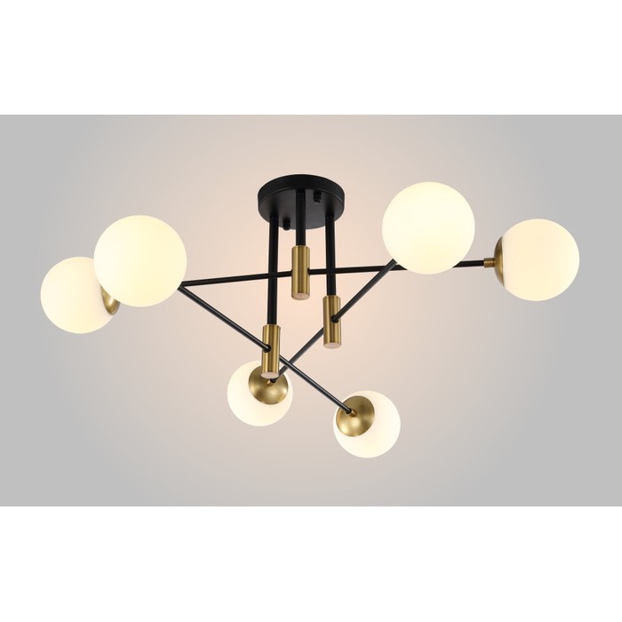 FIDEL PL6 BLACK