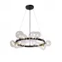 AGATA SP15 V2 BLACK/TRANSPARENTE