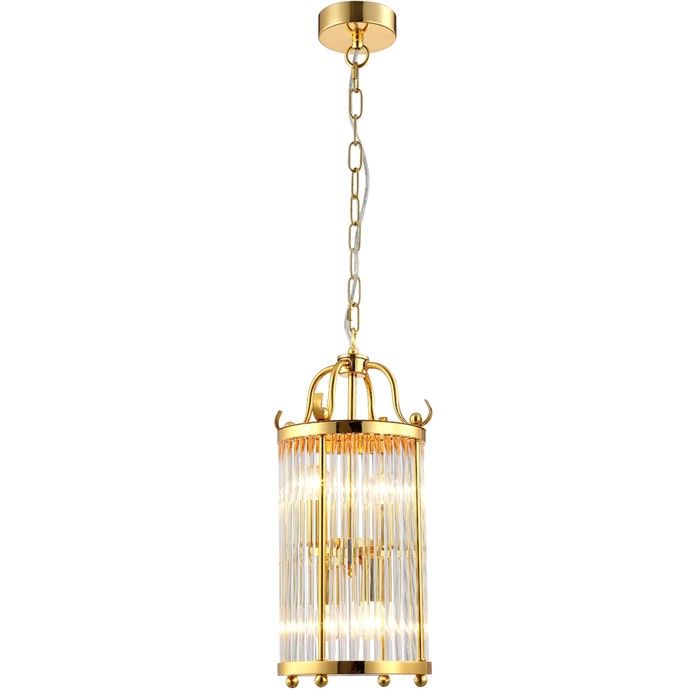 TADEO SP4 D200 GOLD/TRANSPARENTE