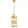 TADEO SP4 D200 GOLD/TRANSPARENTE