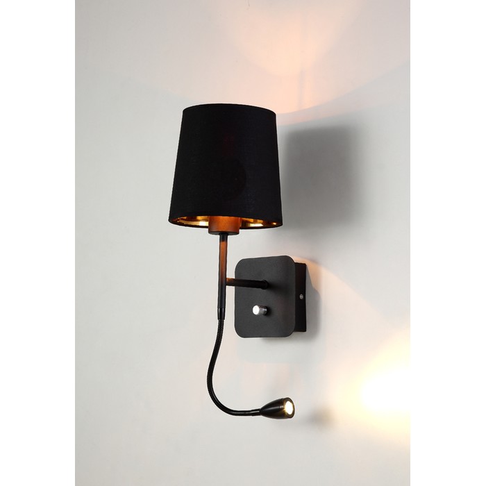 PABLO AP2 BLACK/BLACK-GOLD