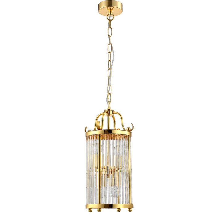 TADEO SP4 D200 GOLD/TRANSPARENTE