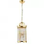 TADEO SP4 D200 GOLD/TRANSPARENTE