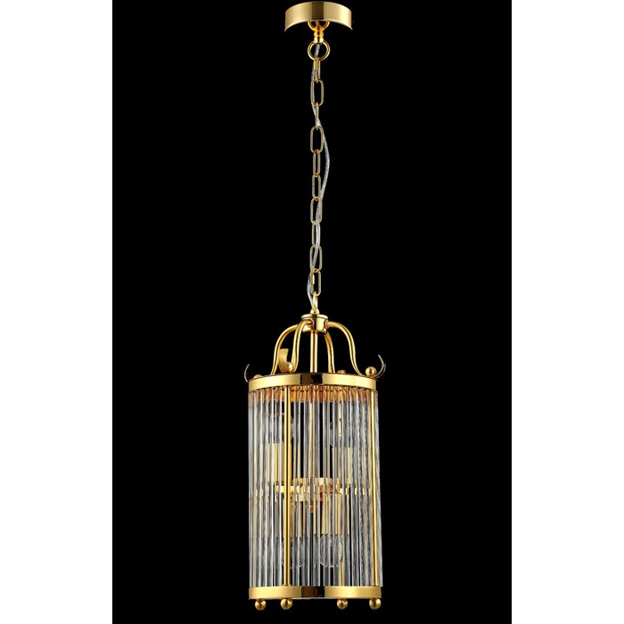 TADEO SP4 D200 GOLD/TRANSPARENTE