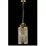 TADEO SP4 D200 GOLD/TRANSPARENTE