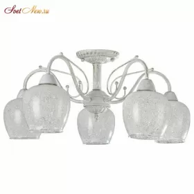 FR2751-PL-05-WG