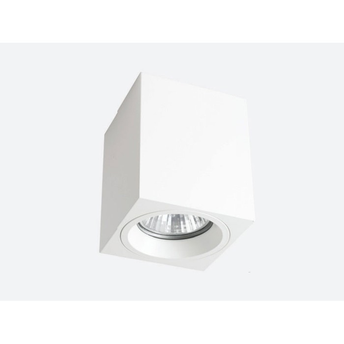 SN1594-White