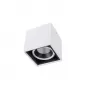 DL18415/11WW-SQ White/Black Dim