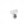 DL18407/11WW-White