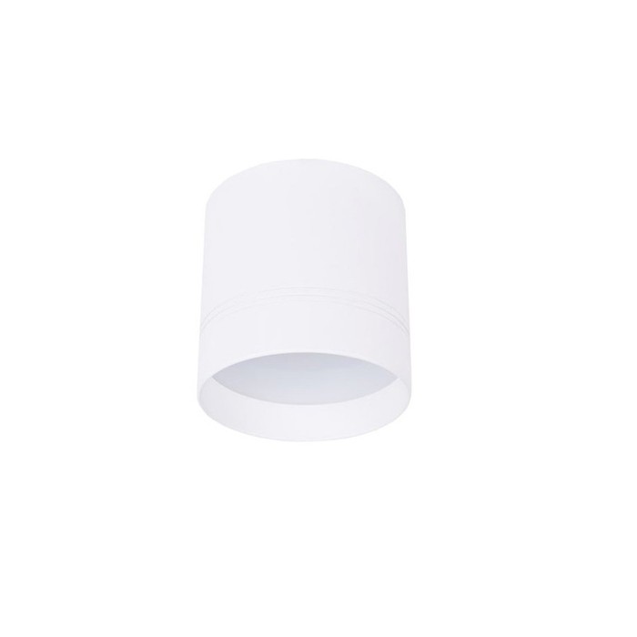 DL18483/WW-White R