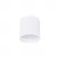 DL18483/WW-White R