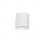 DL18482/WW-White R