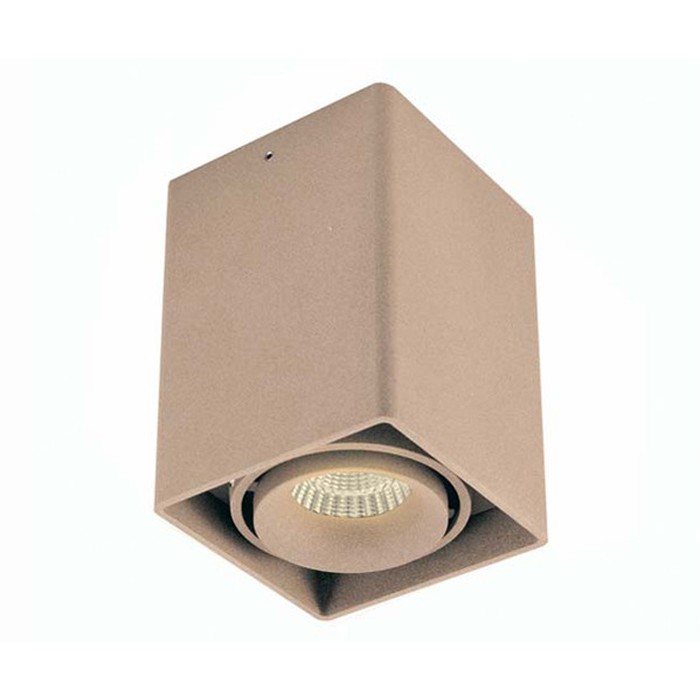 DL18611/01WW-SQ Champagne