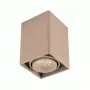 DL18611/01WW-SQ Champagne