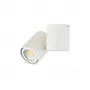A1594White/RAL9003