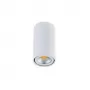 N1595White/RAL9003