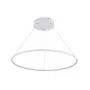 S111024/1R 48W White In
